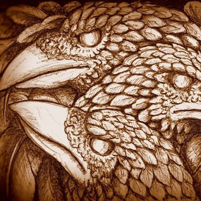 three ravens college