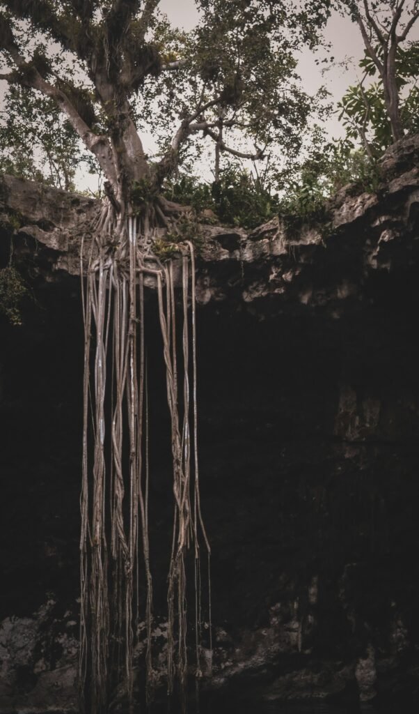 deep roots in soul