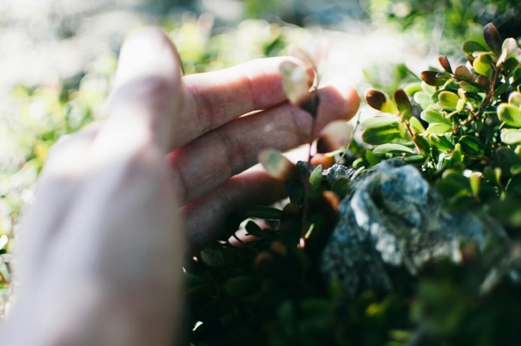 touching nature
